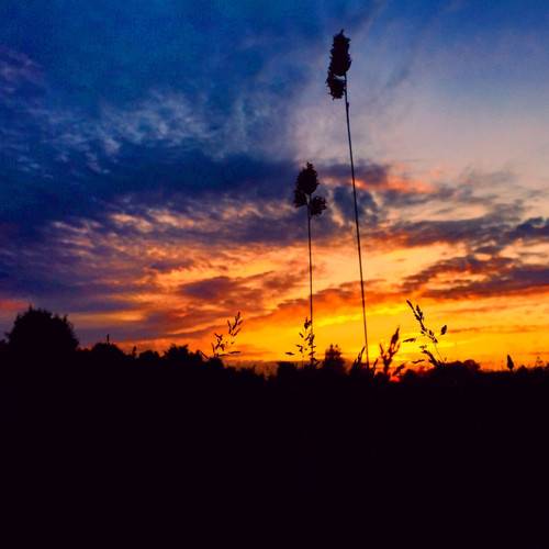 手机号码位数紧缺,入手靓号刻不容缓